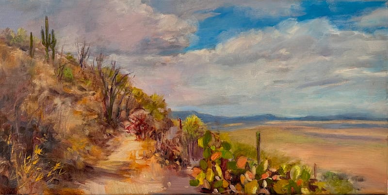 a landscape oil painting by Sylvia Shanahan showcasing the shifting light and shadow of the Sonoran Desert in Arizona.